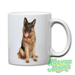 Овчарка, собака, dog